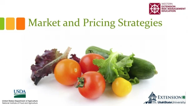 Market and Pricing Strategies