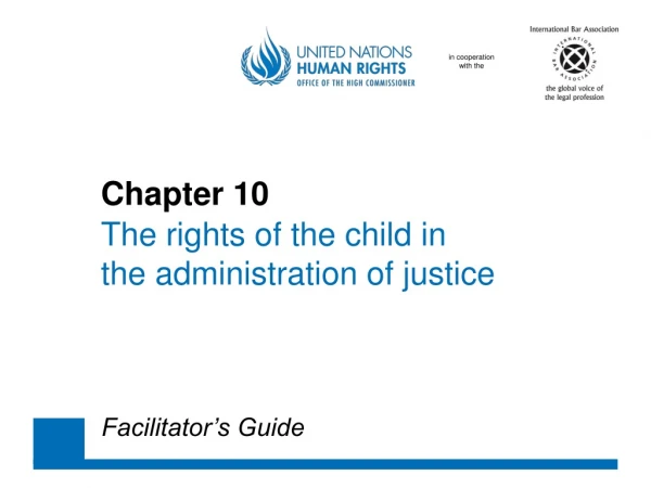 Chapter 10 The rights of the child in 	the administration of justice