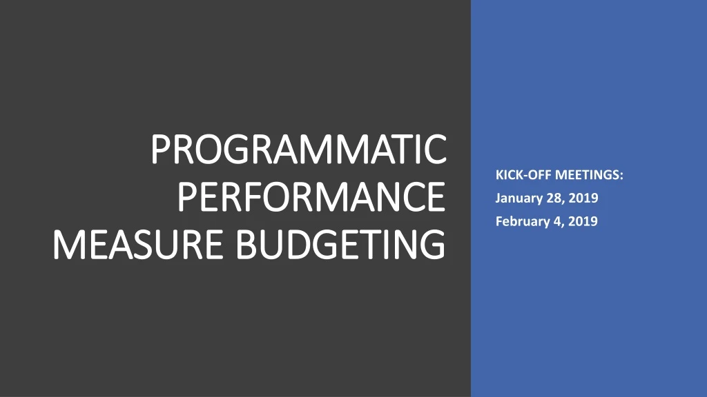 programmatic performance measure budgeting