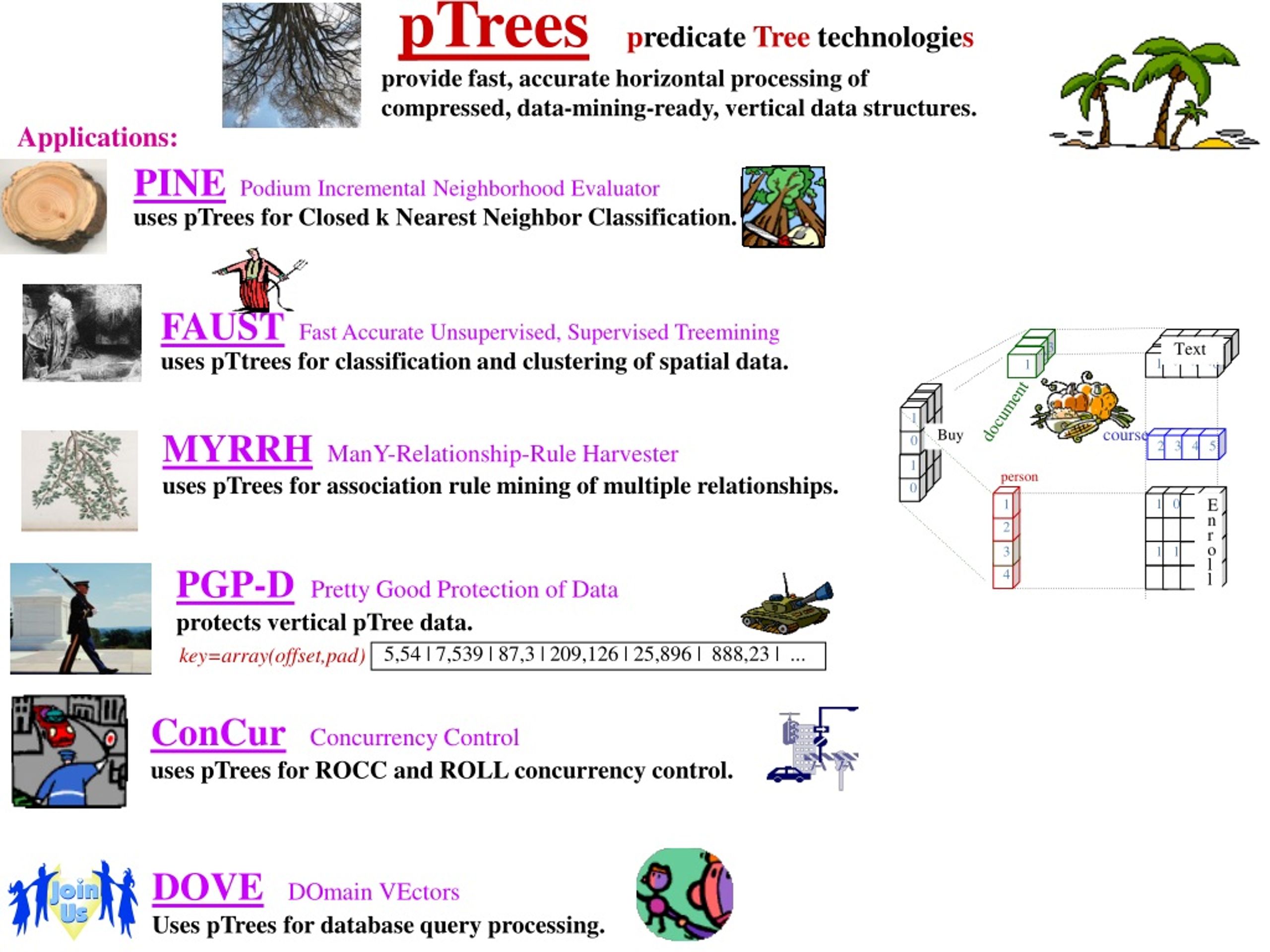 Fast and Accurate pTrees for Compressed Data Mining - slide 1