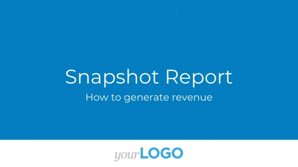 Snapshot Report How to generate revenue