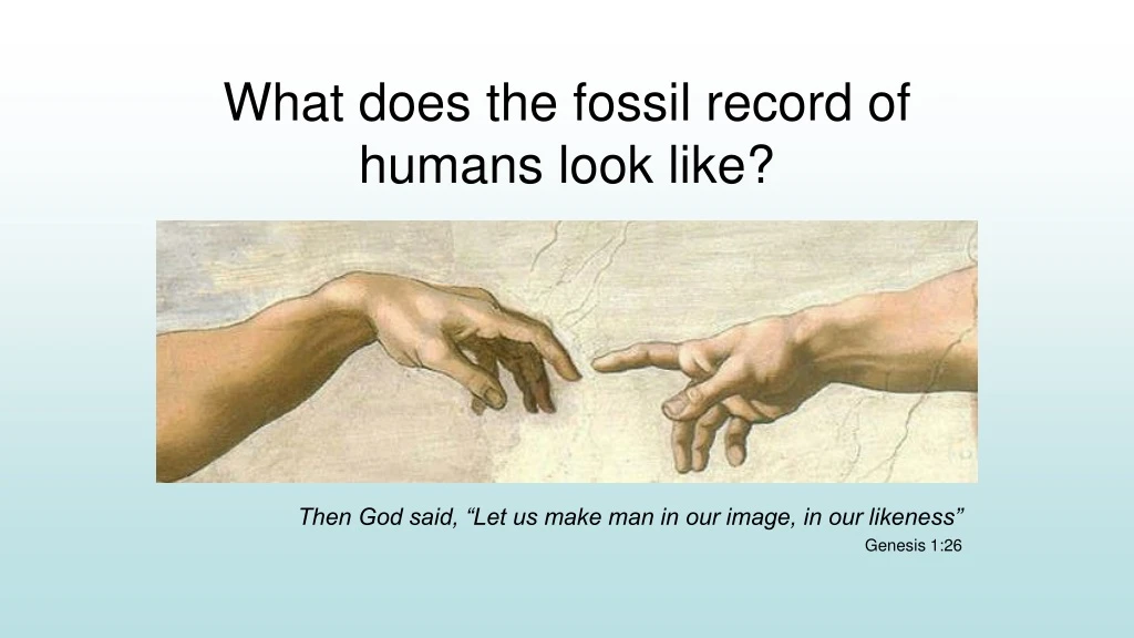 what does the fossil record of humans look like