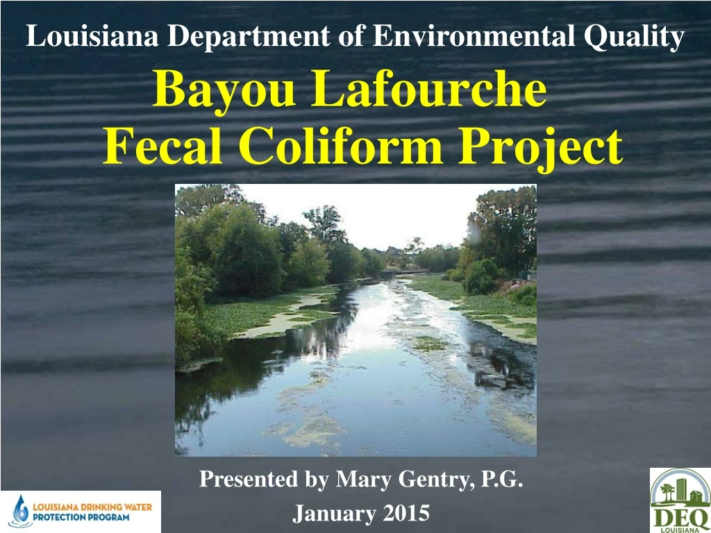 louisiana department of environmental quality