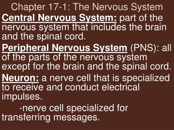 Chapter 17-1: The Nervous System