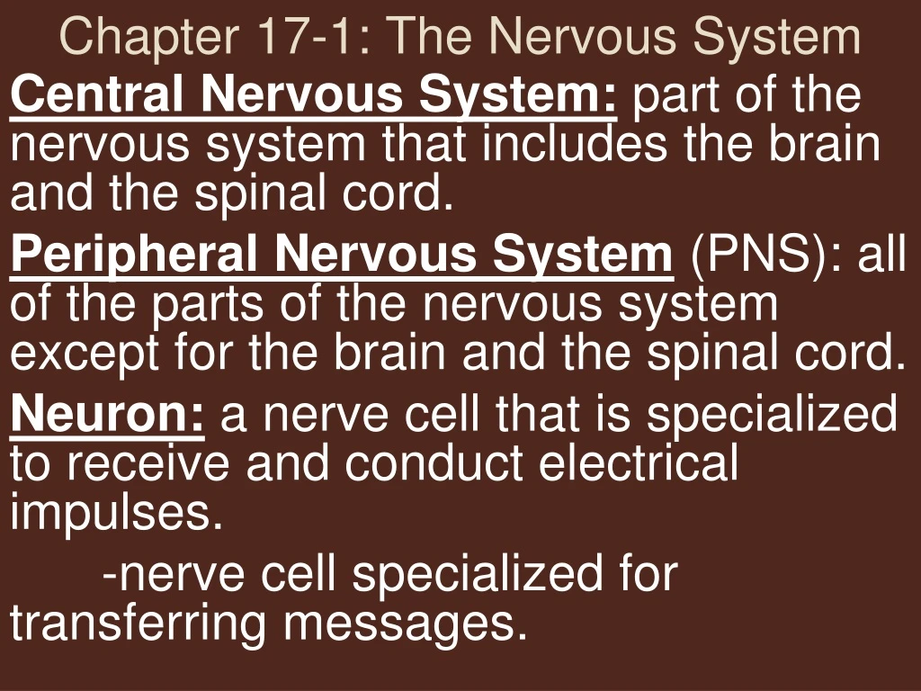 chapter 17 1 the nervous system