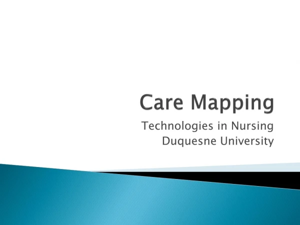 Care Mapping