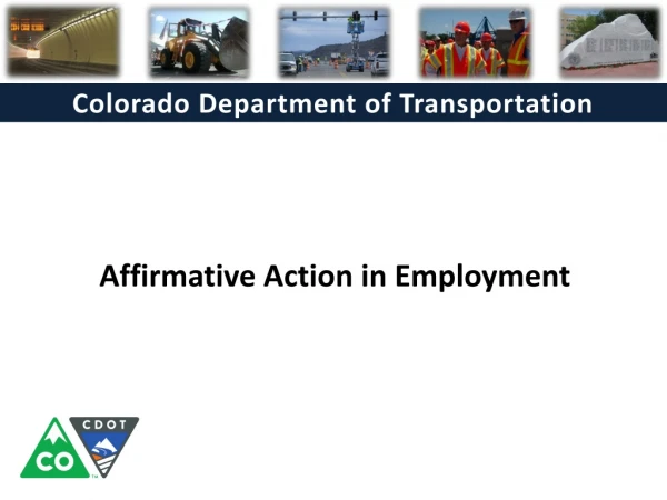Affirmative Action in Employment