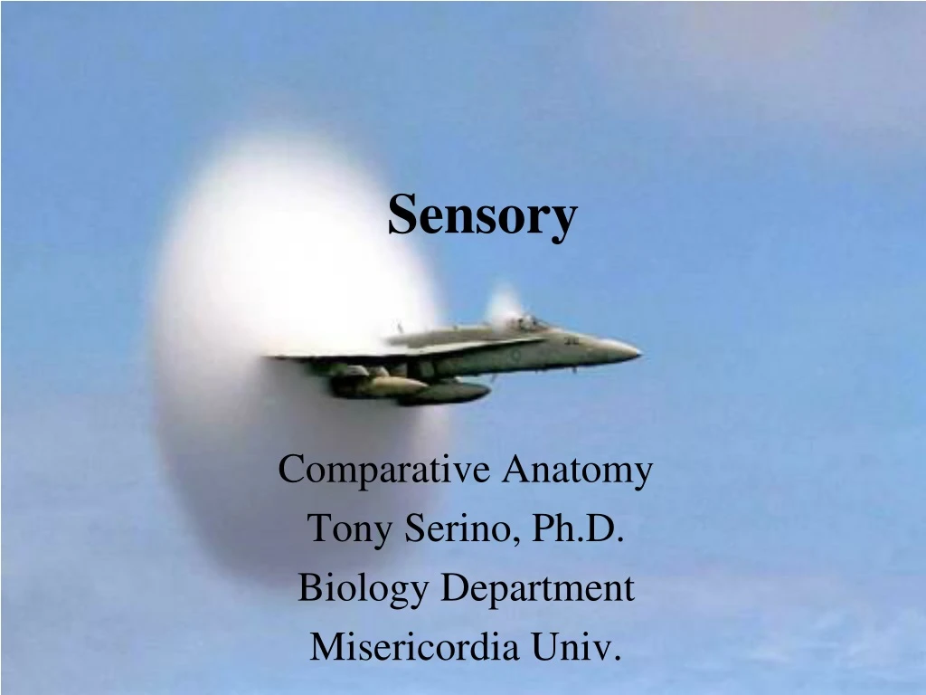 sensory