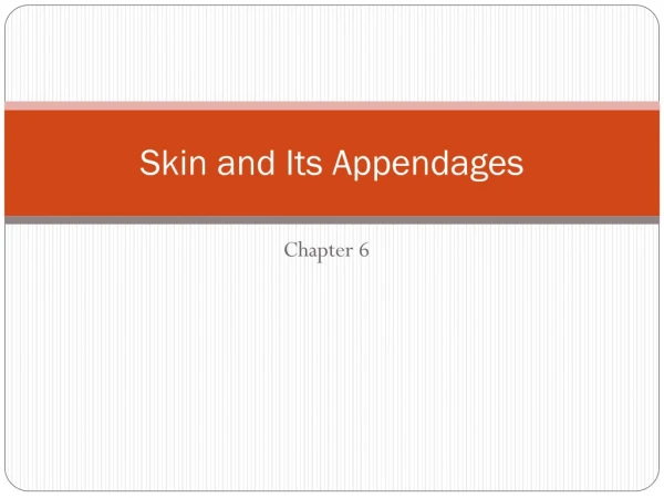 Skin and Its Appendages