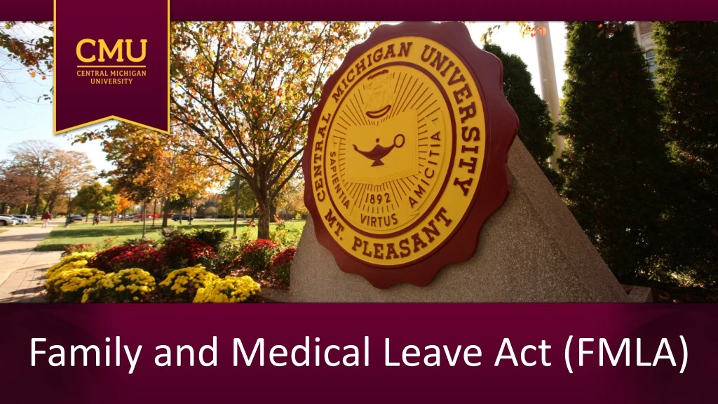 family and medical leave act fmla