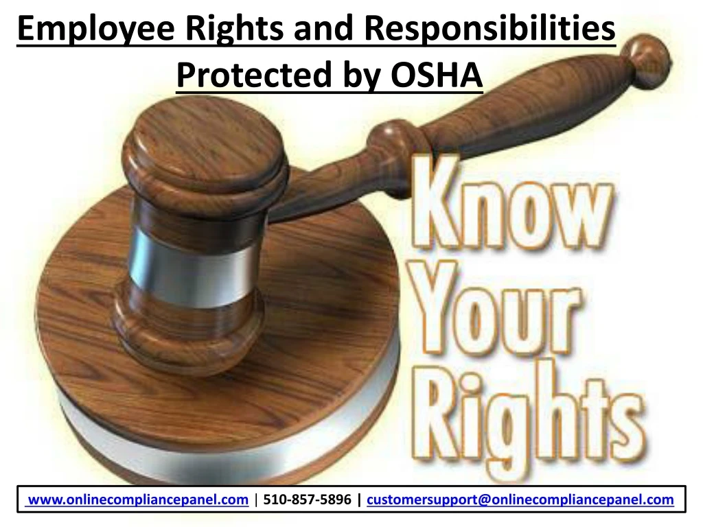 employee rights and responsibilities protected