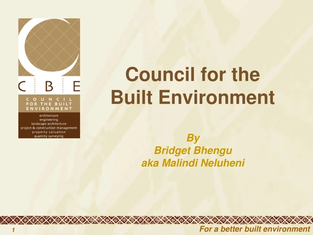 council for the built environment by bridget bhengu aka malindi neluheni