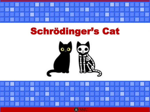 Schrödinger’s Cat