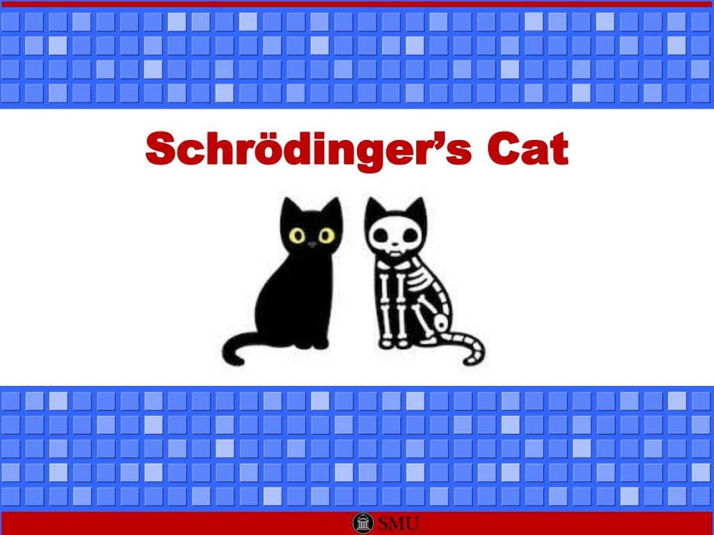 schr dinger s cat