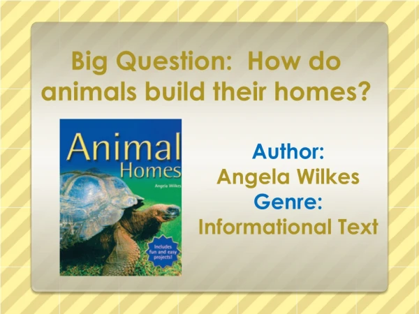 Big Question: How do animals build their homes?