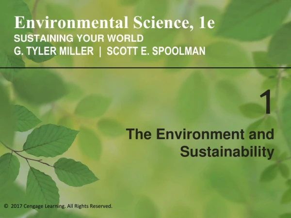 The Environment and Sustainability