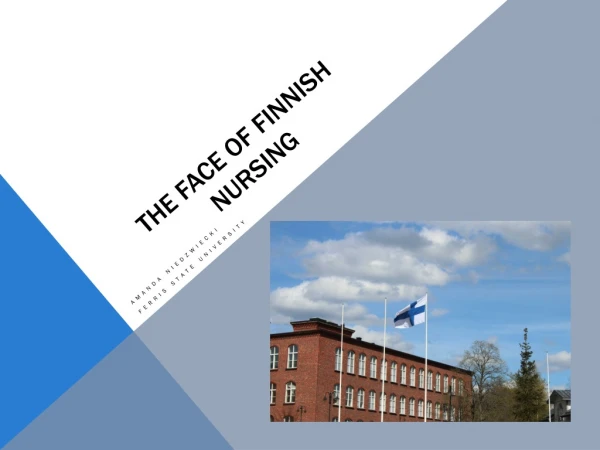 The Face of Finnish Nursing