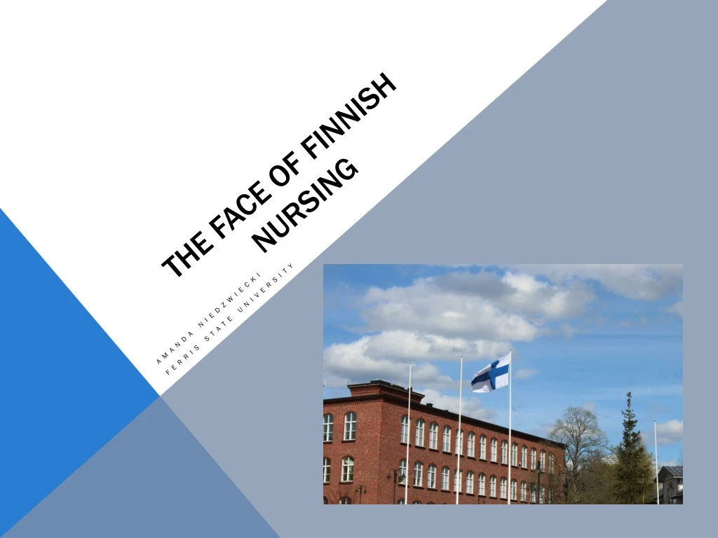 the face of finnish nursing