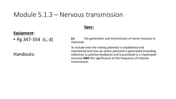 Module 5.1.3 – Nervous transmission