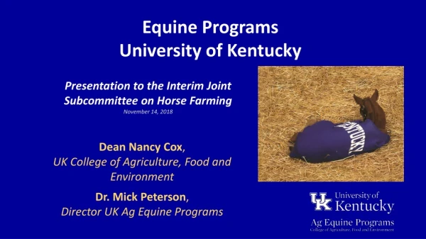 Equine Programs University of Kentucky