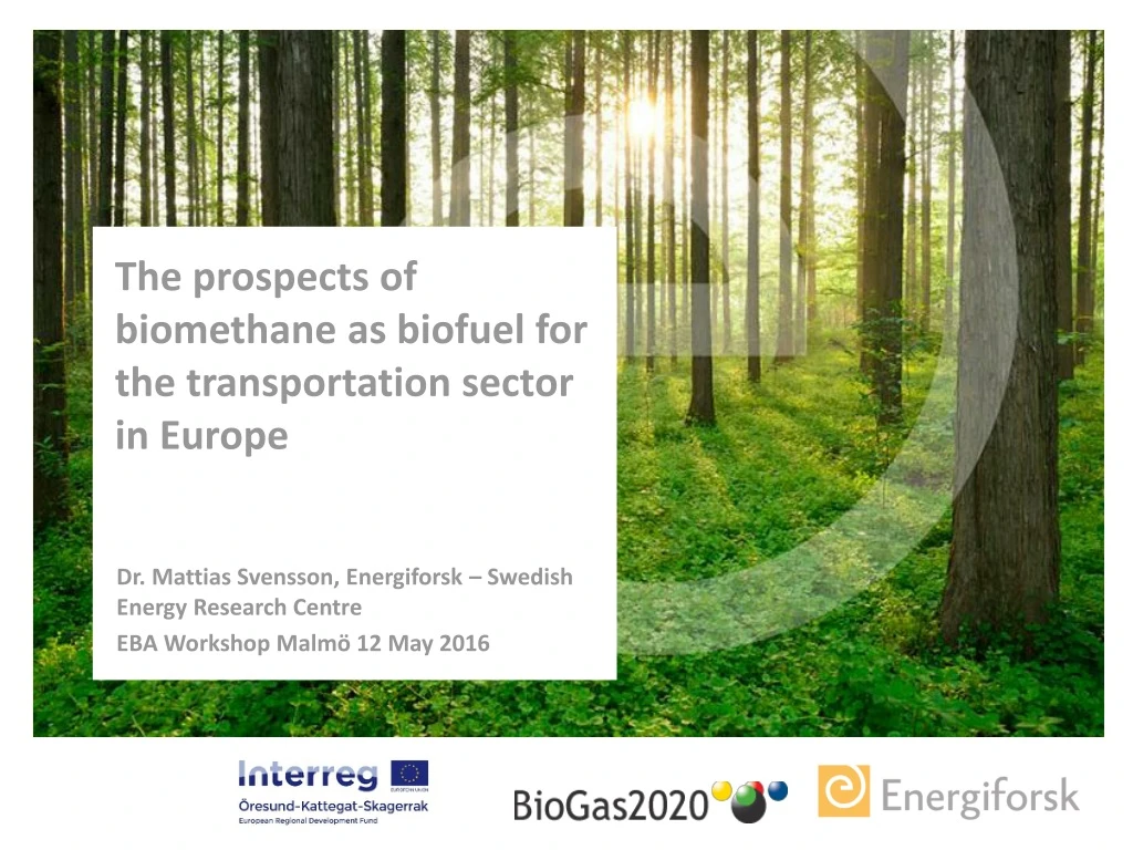the prospects of biomethane as biofuel for the transportation sector in europe