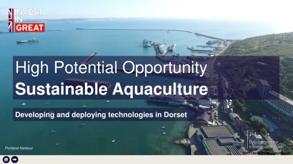 High Potential Opportunity Sustainable Aquaculture