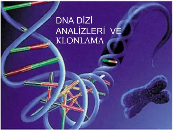 DNA DIZI ANALIZLERI VE KLONLAMA