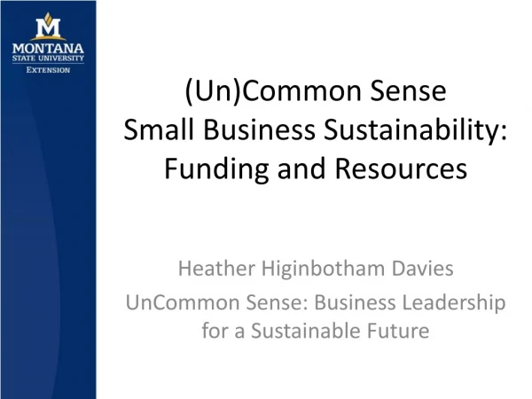 (Un)Common Sense Small Business Sustainability: Funding and Resources