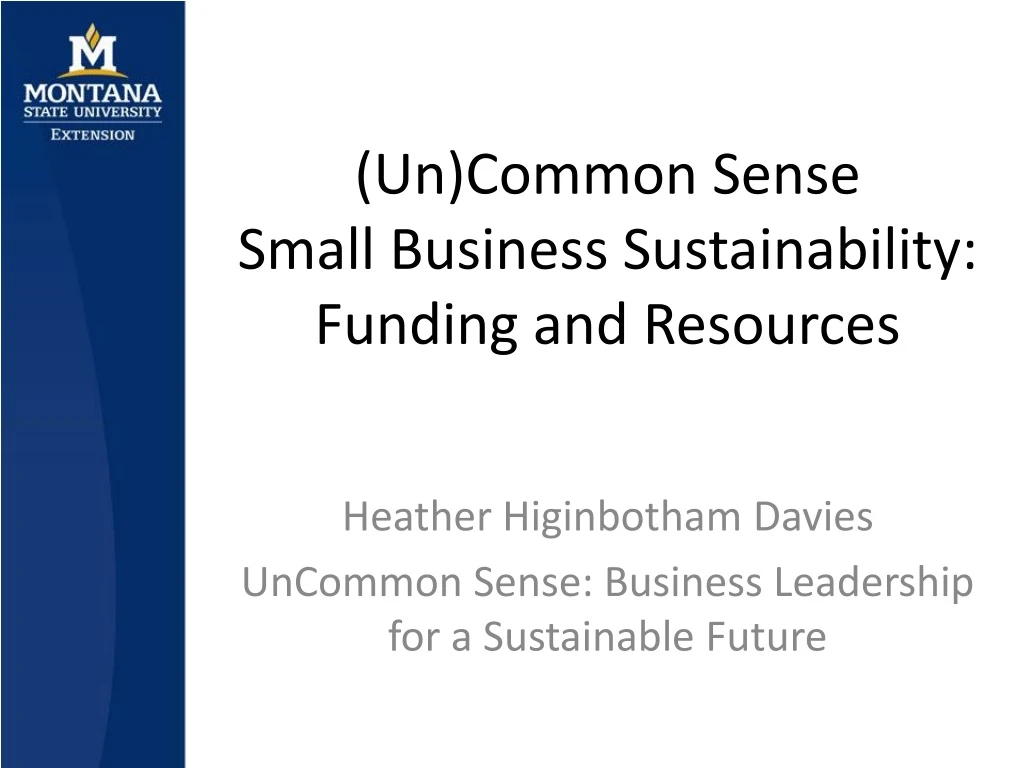 un common sense small business sustainability funding and resources
