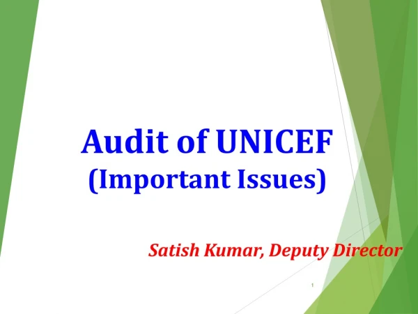 Audit of UNICEF (Important Issues)