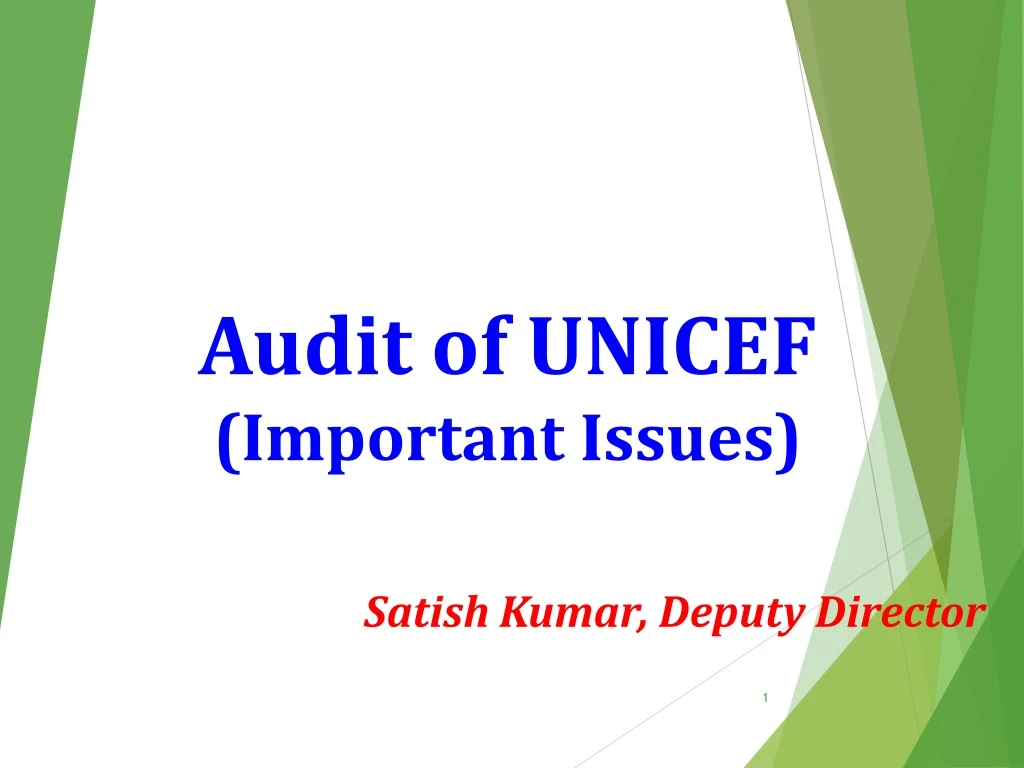 audit of unicef important issues