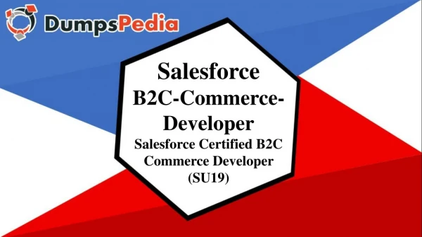B2C-Commerce-Developer Braindumps