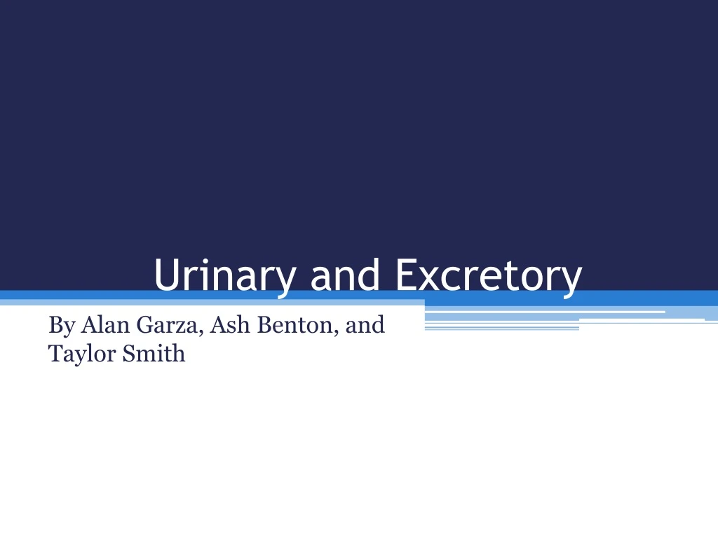 urinary and excretory