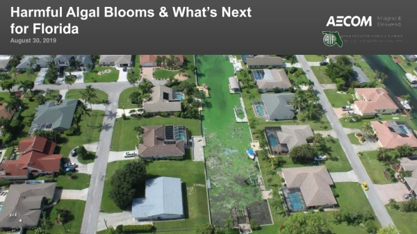 Harmful Algal Blooms &amp; What’s Next for Florida August 30, 2019