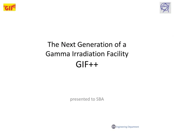 The Next Generation of a Gamma Irradiation Facility GIF++