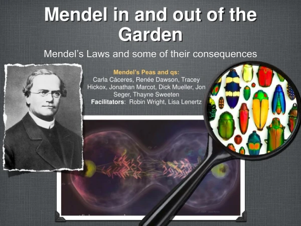 Mendel in and out of the Garden