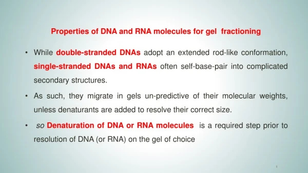 Properties of DNA and RNA molecules for gel f ractioning