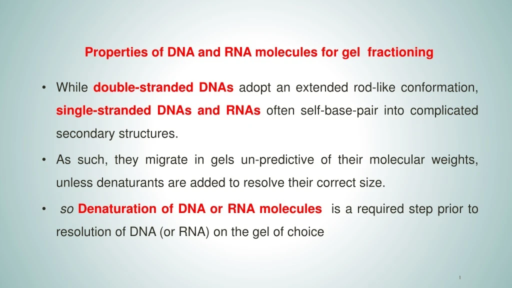 properties of dna and rna molecules