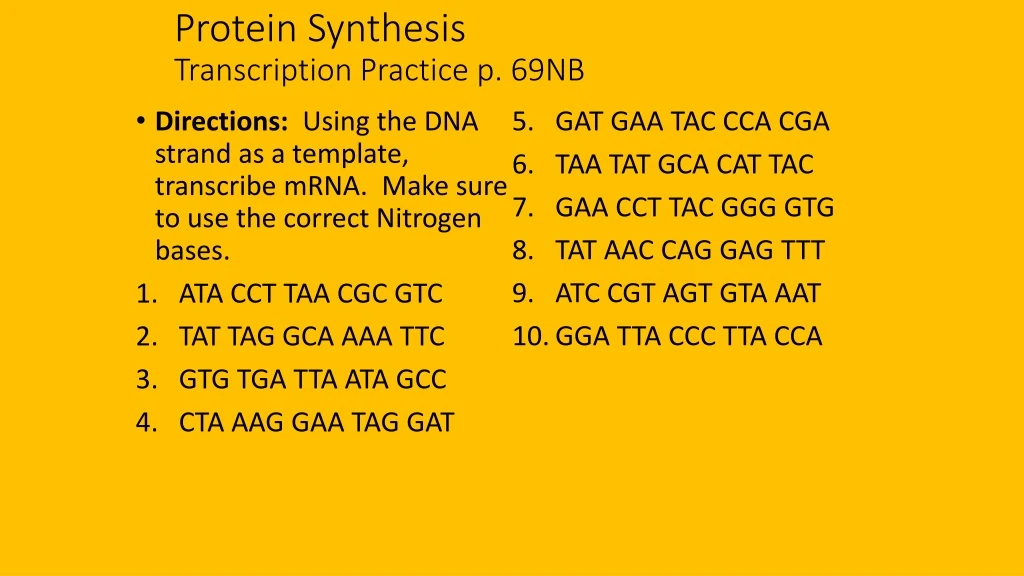 protein synthesis transcription practice p 69nb