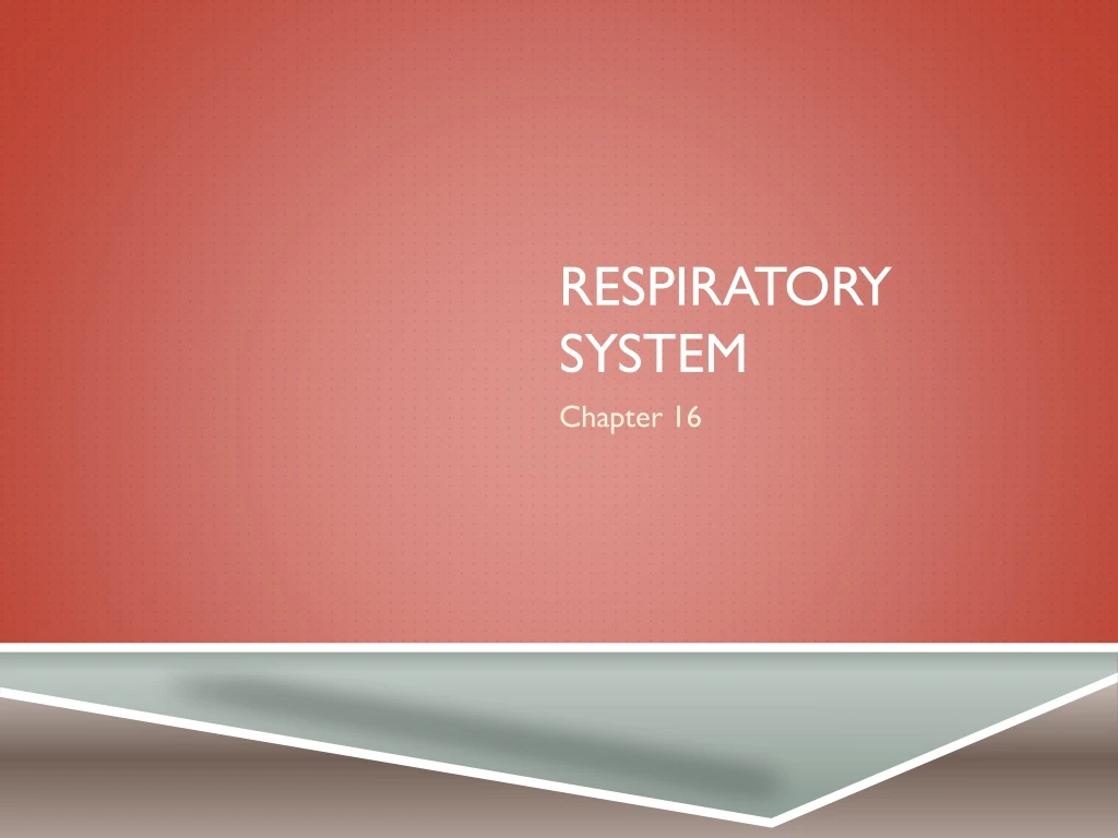 respiratory system