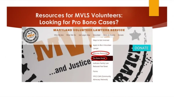 Resources for MVLS Volunteers: Looking for Pro Bono Cases?