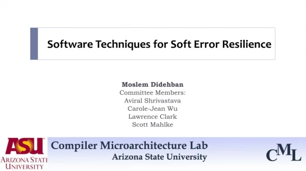 Software Techniques for Soft Error Resilience