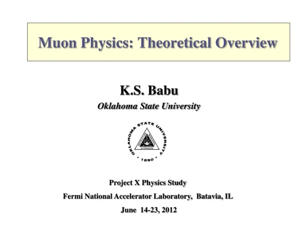 Muon Physics: Theoretical Overview