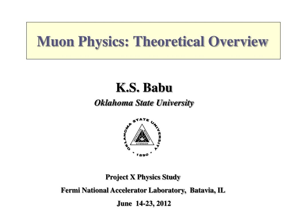 muon physics theoretical overview