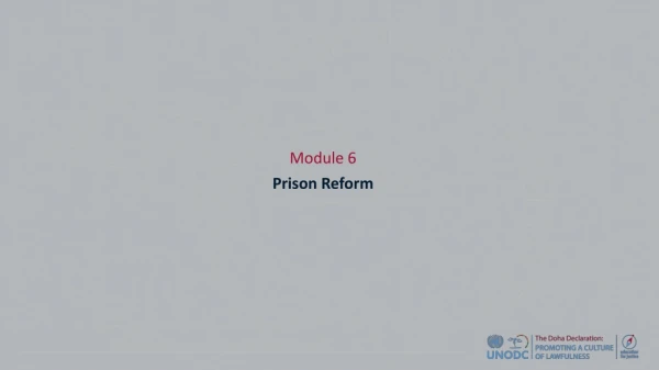 Module 6 Prison Reform