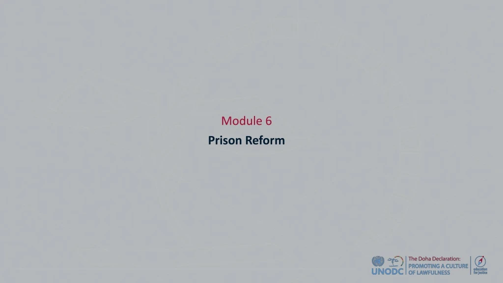 module 6 prison reform