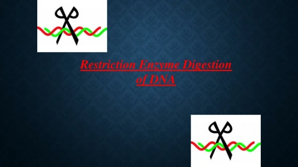 Restriction Enzyme Digestion of DNA