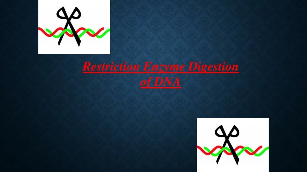 restriction enzyme digestion of dna