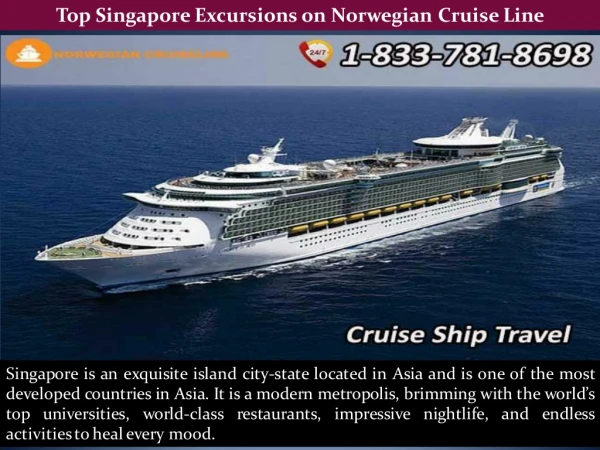 Top Singapore Excursions on Norwegian Cruise Line