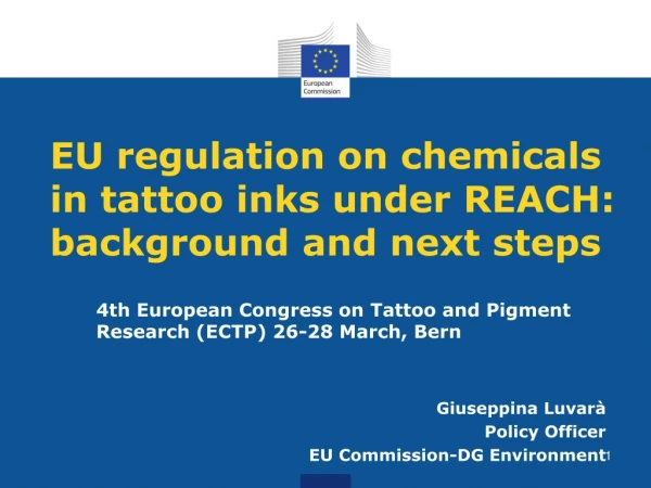 EU regulation on chemicals in tattoo inks under REACH: background and next steps